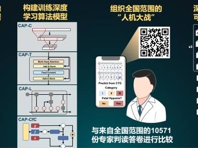 跨界自研！产科医生打造AI模型，精准判别胎儿是否宫内缺氧