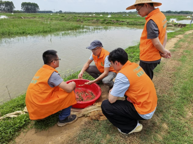 南方农村报 徐建杭 拍摄