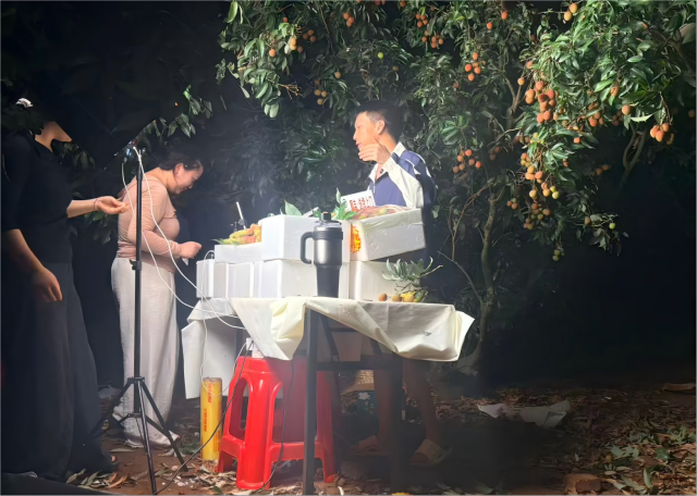 夜晚的乌塘荔枝园中,主播达人在直播卖荔枝 夜晚的乌塘荔枝园中,主播达人在直播卖荔枝