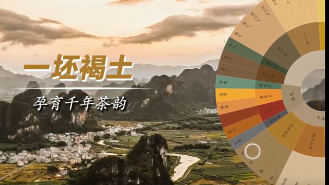 当我用风味轮打开英德红茶的发展史……