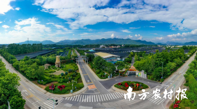 广州从化国家花卉现代农业产业园。资料图片 广州从化国家花卉现代农业产业园。资料图片