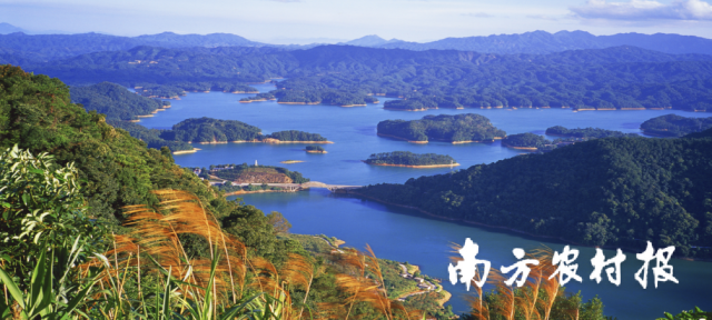 流溪河国家级森林公园。资料图片 流溪河国家级森林公园。资料图片