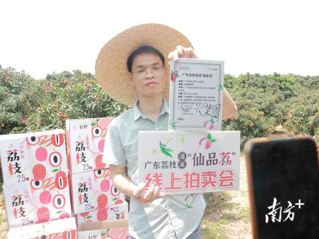 2021年的仙品荔拍卖活动上,农户正在展示遂溪“仙品荔” 2021年的仙品荔拍卖活动上,农户正在展示遂溪“仙品荔”