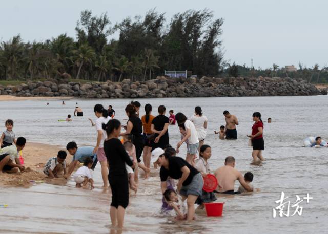 5月17日，天成台度假村海滩上迎来众多游客，远处一网之隔的绿荫中蜂虎在忙着求偶筑巢。