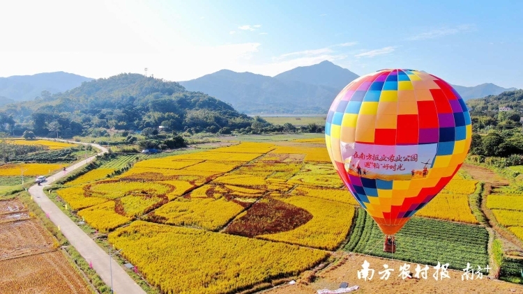 来广东，当创客！广东盘活乡村优质闲置资产发出全国邀约