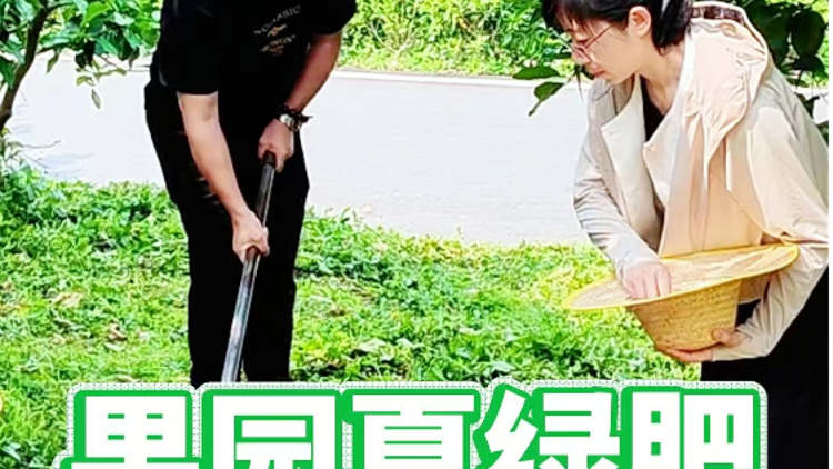 夏季果园绿美种植技术要点有哪些？1分钟视频学起来！