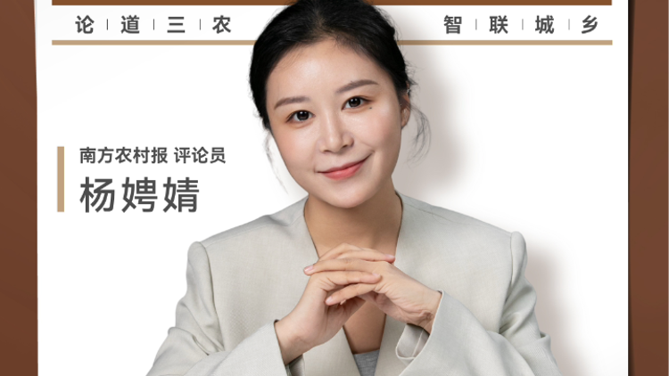 兴农评丨柳州外嫁女驰援震区，柔肩担大义情暖故乡