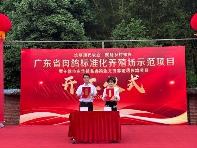 总投资8000万元！300万羽肉鸽全产业链项目落户英德东华镇