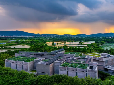 亮眼！广州花都塱头古村案例亮相国家级文化强国建设高峰论坛