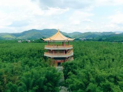 肇庆广宁：做大做强县域特色产业，全力冲刺“双百亿县”