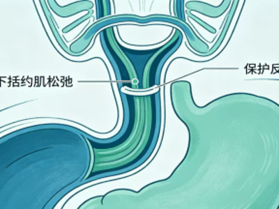 科学禁食不挨饿，麻醉安全有把握