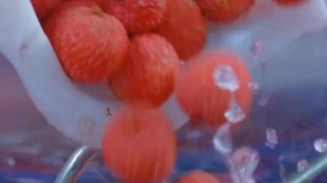 荔枝“泡水”？专家解读：是保鲜预冷常规处理