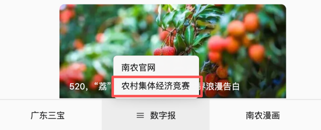 受访者供图
