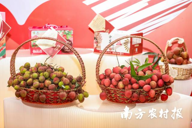 5月20日，2026广州荔枝嘉年华活动在广州举办，广州展位上展出的妃子笑（左）和状元红（右）荔枝。