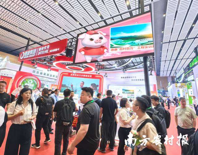近日,德康集团携IP“康嘟嘟”亮相畜博会,全景展示生猪全产业链发展成果。 近日,德康集团携IP“康嘟嘟”亮相畜博会,全景展示生猪全产业链发展成果。
