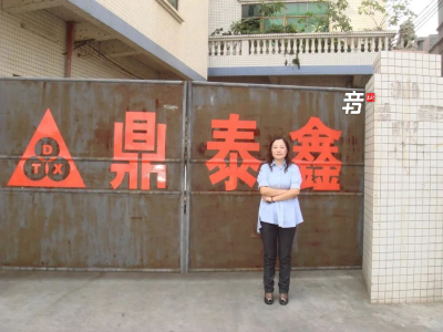 +音 | 从“打工妹”到上市公司董事长，她如何在东莞闯出一片天地？
