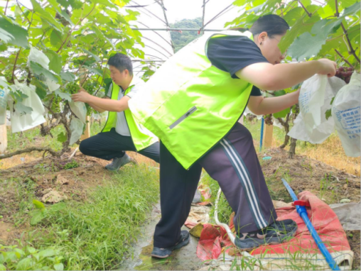 闻汛而动 快速赔付｜中华财险广东分公司全力迎战暴雨灾害