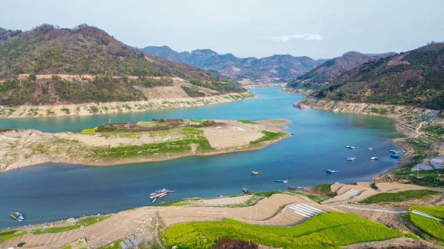 册亨县坐落于珠江上游的南、北盘江交汇点,气候温润,风景优美。吴宇辉的荔枝园就位于北盘江边。 册亨县坐落于珠江上游的南、北盘江交汇点,气候温润,风景优美。吴宇辉的荔枝园就位于北盘江边。