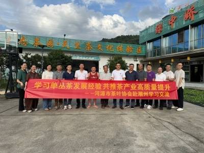 河源市茶叶协会到饶平开展单丛茶学习交流