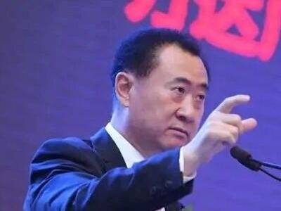 王健林名下4亿元金融资产遭变卖