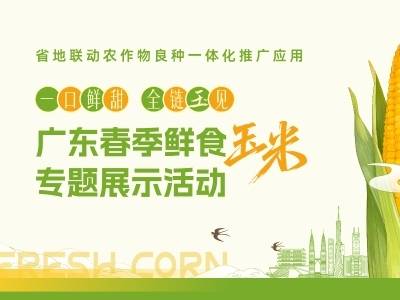 省地联动农作物良种一体化推广应用 春季鲜食玉米专题系列活动