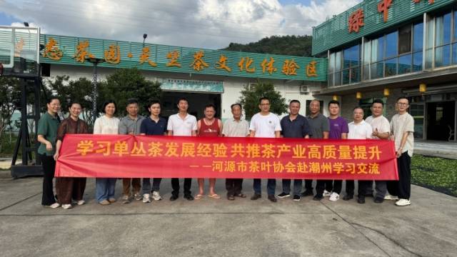 河源市茶叶协会到饶平开展单丛茶学习交流