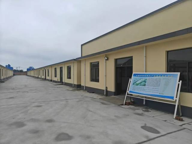 三文鱼工厂化养殖基地 三文鱼工厂化养殖基地