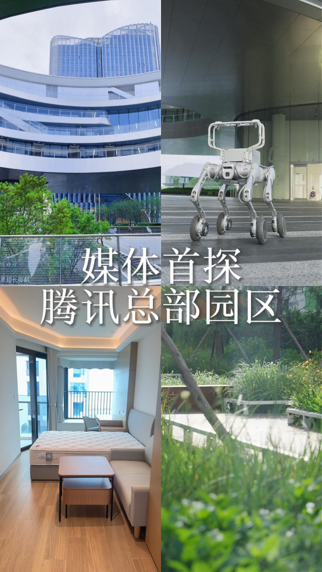 为8万英才建个“岛”！南方+记者揭秘腾讯总部园区