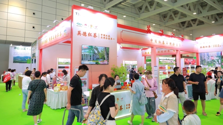 连续三年赴约泉城！中国红茶第一品牌英德红茶将亮相第二十届济南茶博会