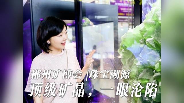在+探宝｜这场交易额破24亿元的矿博会，究竟有多宝藏？