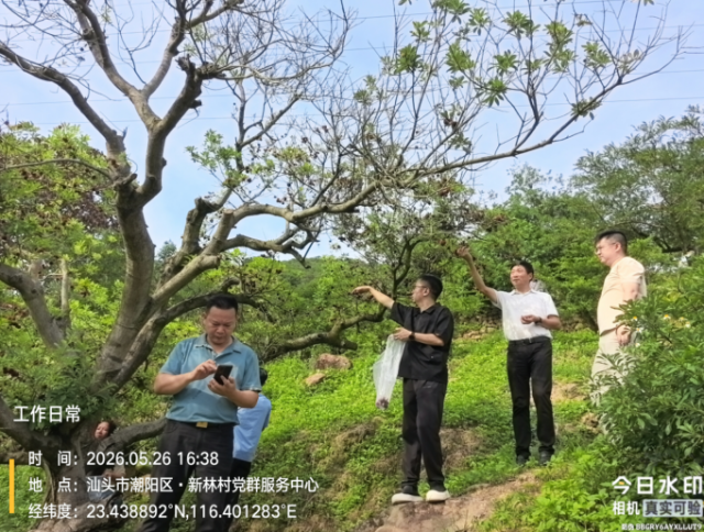监督抽查与风险监测并举，确保“不安全不上市”。