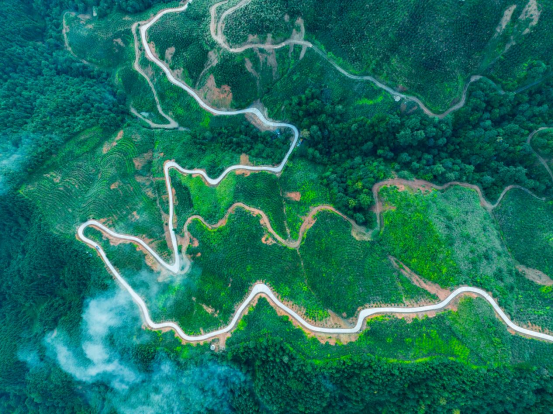 广西三江,中国油茶之乡,61.7万亩油茶林,绿染千山。 广西三江,中国油茶之乡,61.7万亩油茶林,绿染千山。