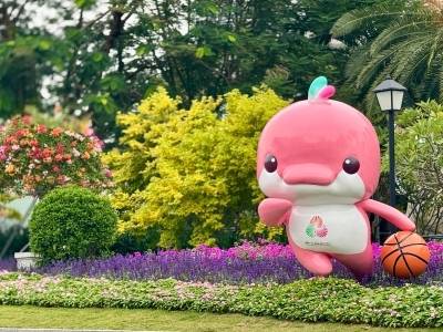 “粤BA”深莞今晚首遇，榜二深圳迎战榜首东莞，谁是东部最强？