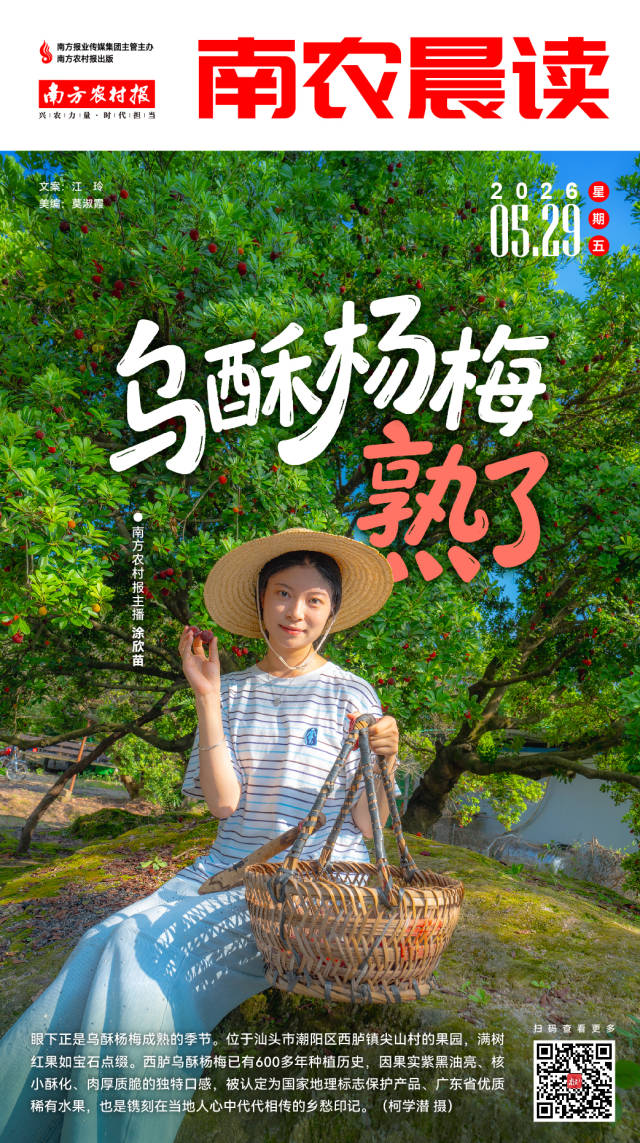 南方农村报 巢芮 制图