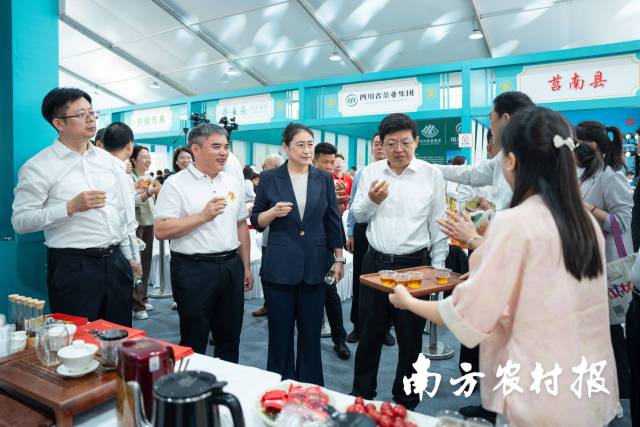 在分会场英德红茶展位上，领导嘉宾品尝英德红茶。