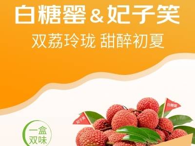 广货行天下·南方优品荔枝季 | 山海荔乡阳江双荔齐发！白糖罂＆妃子笑解锁初夏双倍甜香