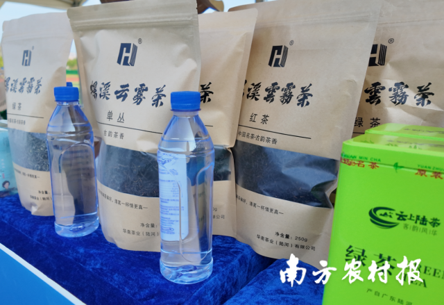云上陆茶。 云上陆茶。