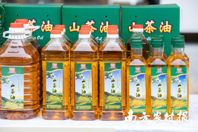 受访者供图