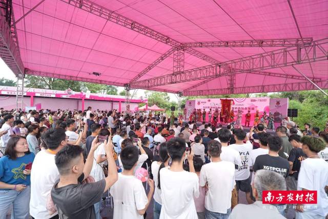 2026年潮阳区杨梅季农林文旅商融合发展系列活动之西胪乌酥杨梅节专场活动举行。 2026年潮阳区杨梅季农林文旅商融合发展系列活动之西胪乌酥杨梅节专场活动举行。