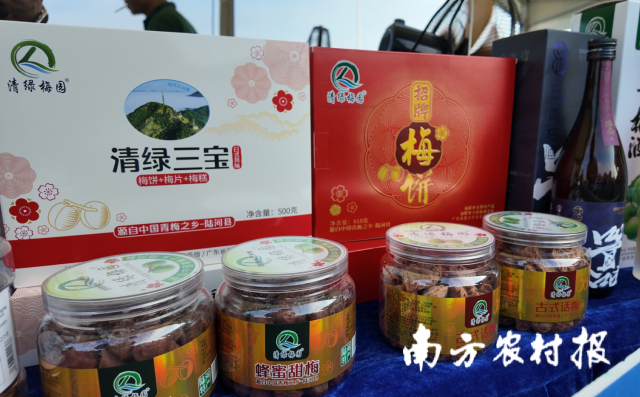 陆河青梅干、梅饼等青梅制品。 陆河青梅干、梅饼等青梅制品。