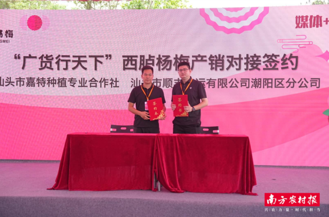 西胪本地两家专业合作社,分别与深圳龙华爱心帮扶超市、汕头顺丰速运有限公司成功签约。