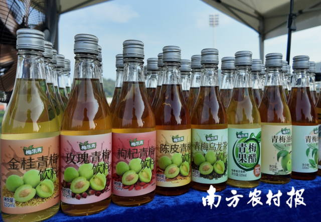 各式陆河青梅饮品。 各式陆河青梅饮品。