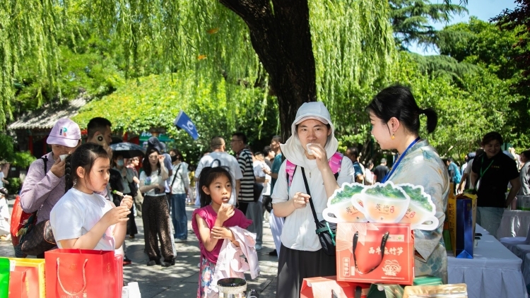 媒体+赋能｜沃土生新变，清远特色农业产业的蝶变之路