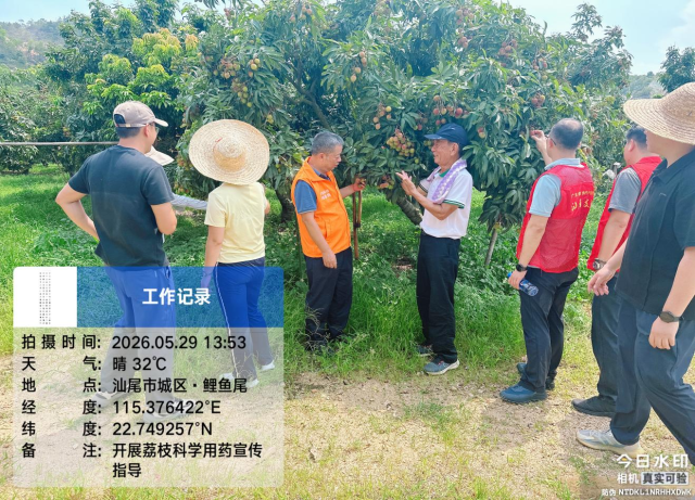 南方农村报 徐建杭 拍摄