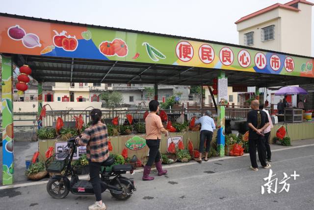 清晨7时,在云浮云城区下白村,无人菜摊已经摆满了菜。 清晨7时,在云浮云城区下白村,无人菜摊已经摆满了菜。