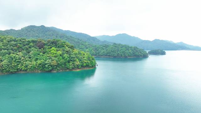 航拍陈禾洞省级自然保护区