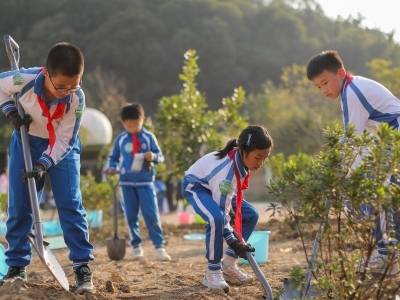 广东在2025年国家林长制落实情况督察中获“好”评