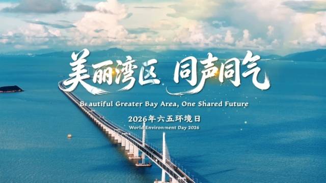 美丽湾区，同声同气