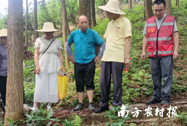受访者供图