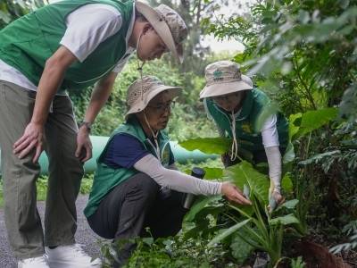 2026年全国“十佳生态环境志愿者”公布，广东一人入选